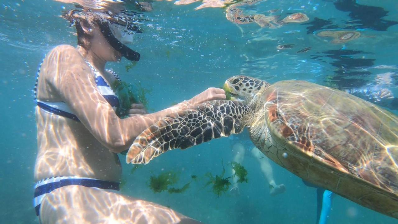 Turtle Beach House Batigama Exteriér fotografie