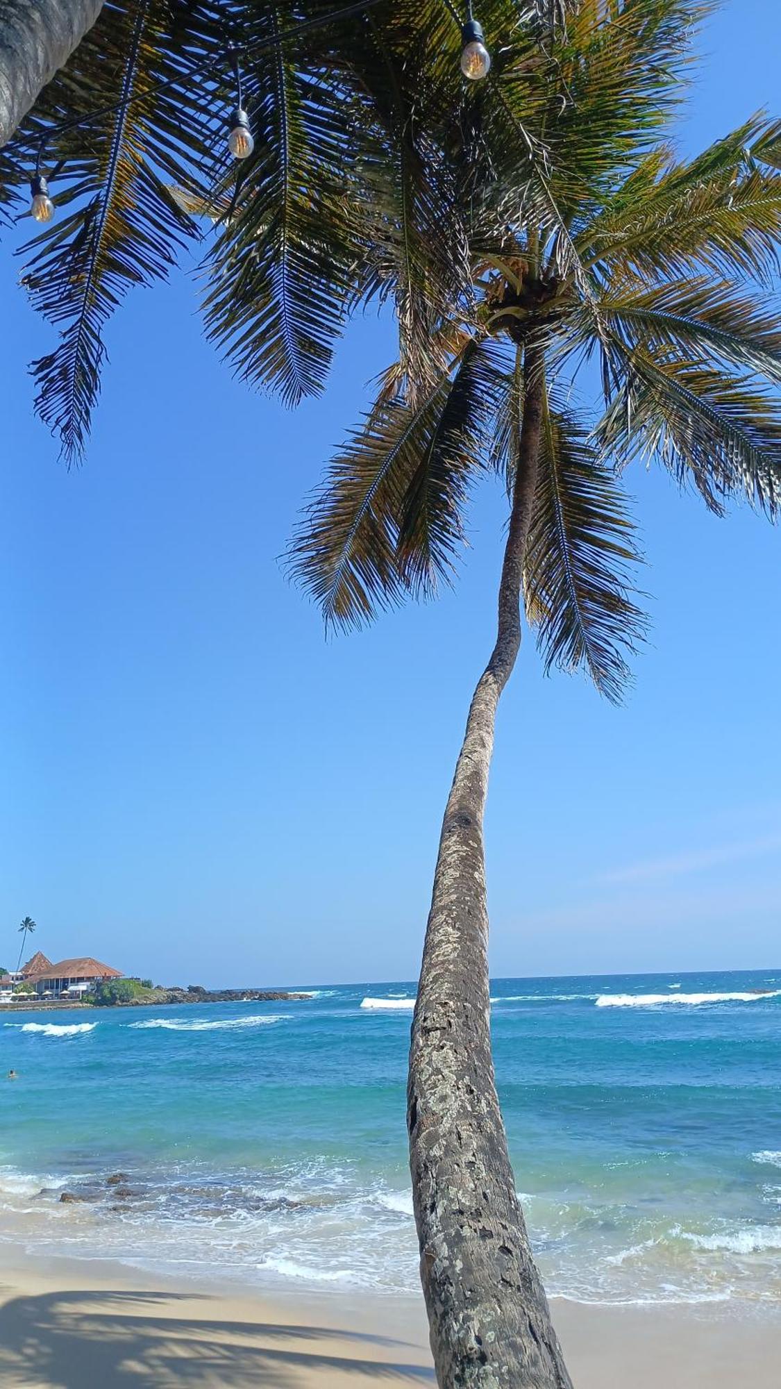 Turtle Beach House Batigama Exteriér fotografie