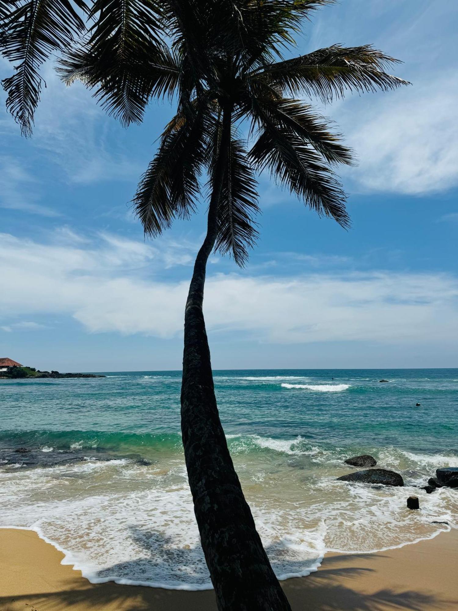 Turtle Beach House Batigama Exteriér fotografie